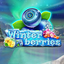 Winter Berries