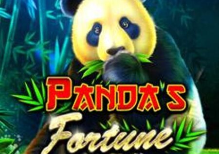 Panda Jones